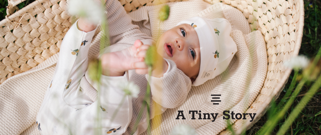 a_tiny_story_1520x640.png a_tiny_story_1520x640.png