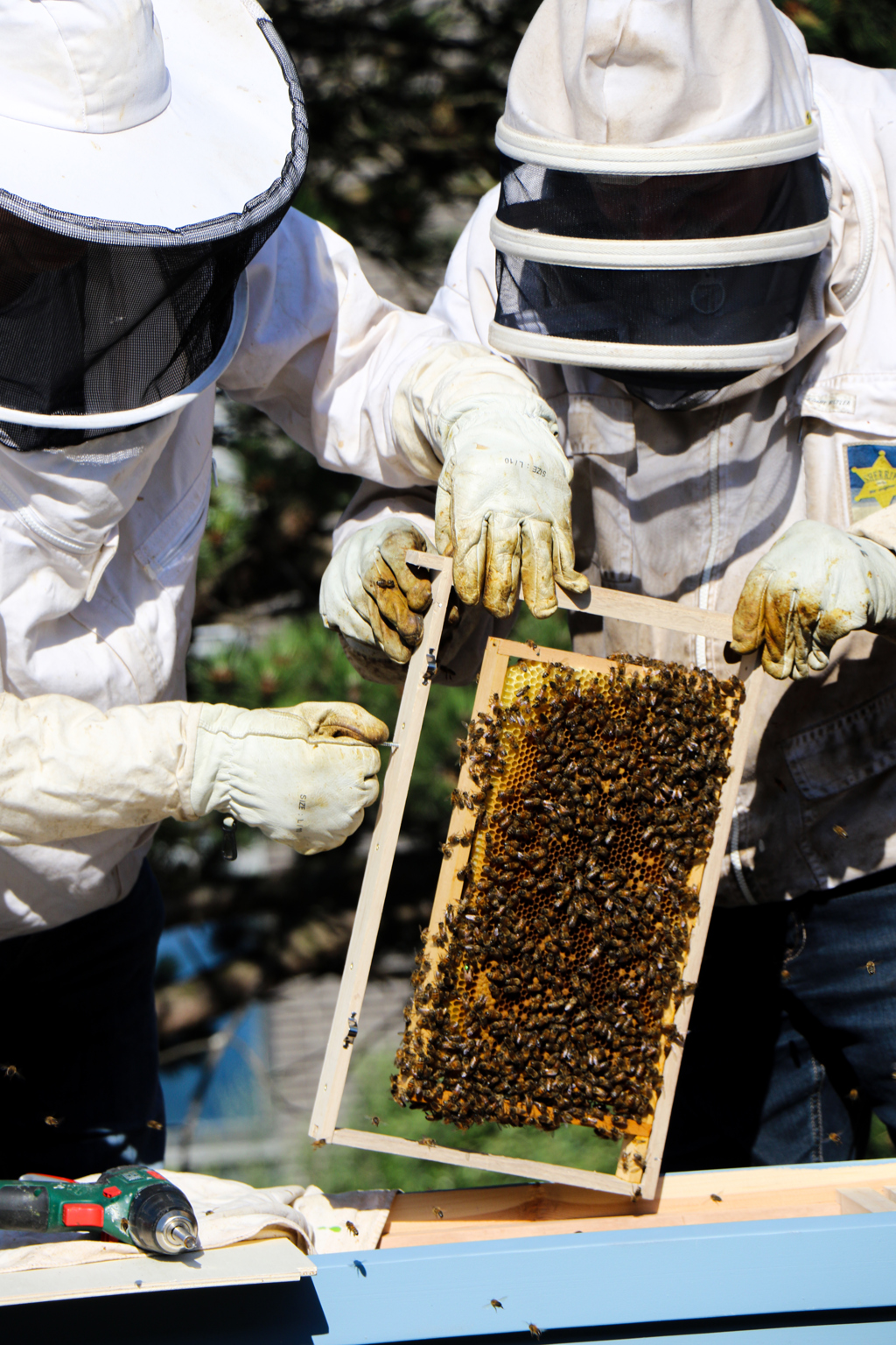 bijenkast.jpg bijenkast.jpg